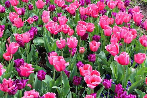 Park «Percy Warner Park», reviews and photos, 7311 Tennessee 100, Nashville, TN 37221, USA