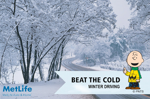 Insurance Agency «MetLife Auto & Home Insurance - Plattsburgh, NY - Joel Maggy Agent», reviews and photos