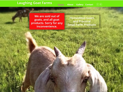 Laughing Goat Farms