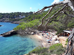 Photo de Cala Olivera avec un niveau de propreté de assez propre