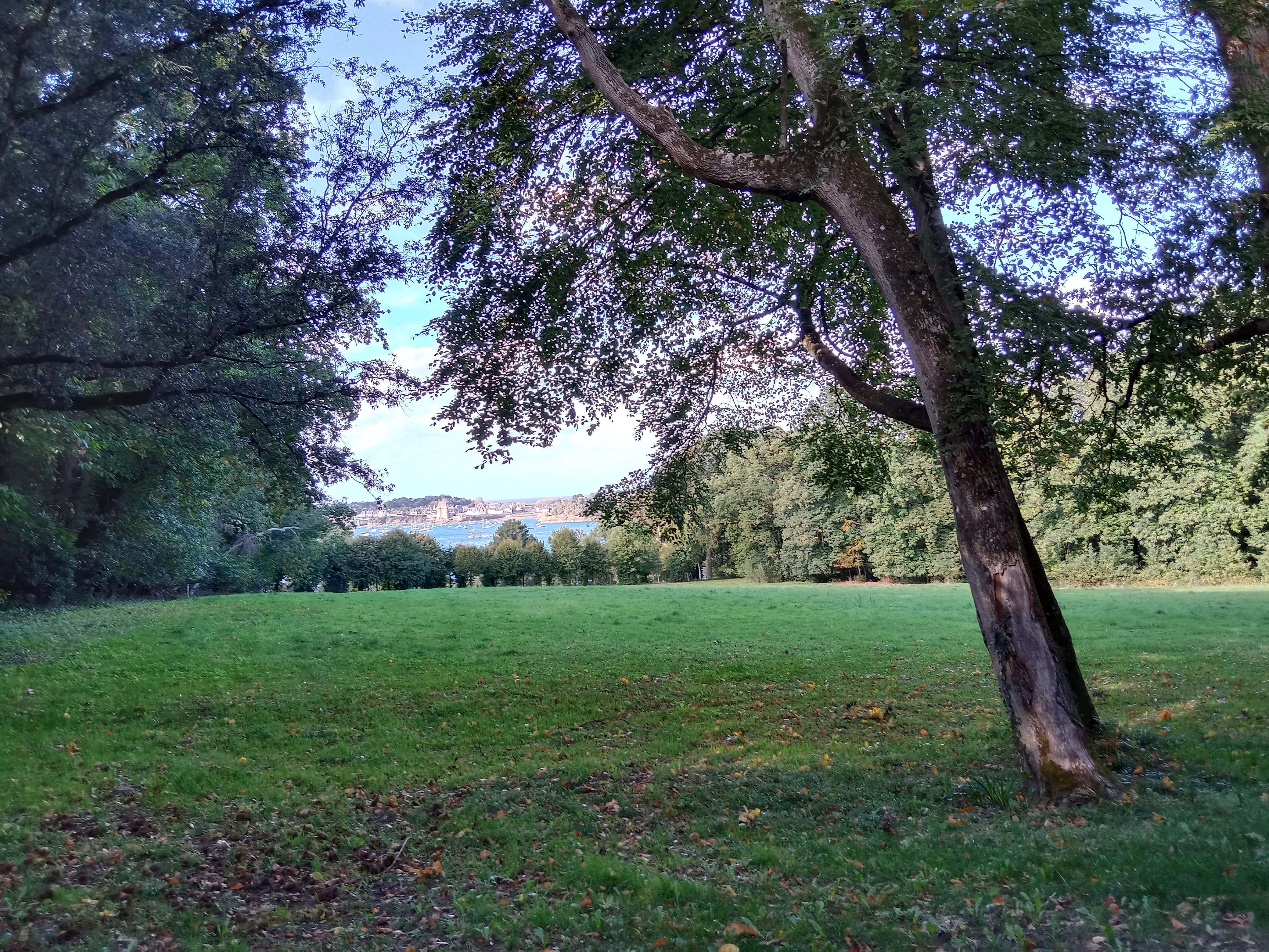 Photo n° 2 de l'avis de gourio.o fait le 09/03/2019 à 09:04