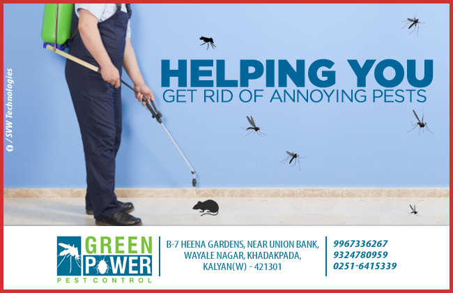 Green Power Pest Control | Pest Control In Kalyan | Best Pest Control in Mumbai | Pest Control Near Me | Pest Control Company In Kalyan