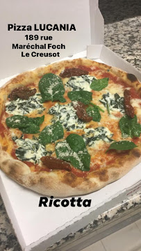 Plats et boissons du Pizzeria Pizza LUCANIA à Le Creusot - n°13