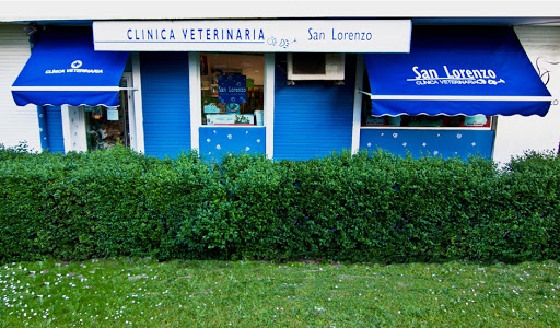 Clínica Veterinaria San Lorenzo en Madrid