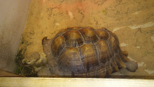 Pet Store «Fins Feathers Paws Claws», reviews and photos, 201 Station Rd, Quakertown, PA 18951, USA