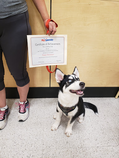 Pet Supply Store «PetSmart», reviews and photos, 14420 Farm to Market 2920, Tomball, TX 77377, USA