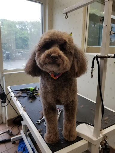 Master Quality Grooming