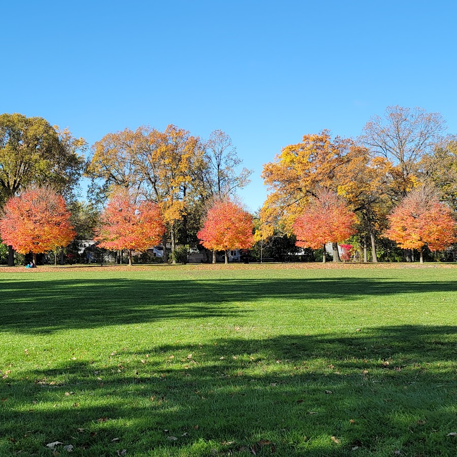 Harding Park