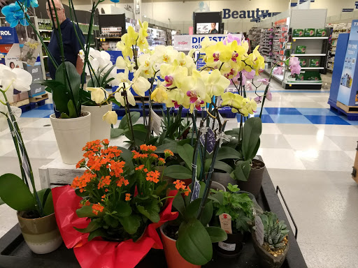 Grocery Store «Meijer», reviews and photos, 3911 US-22, Loveland, OH 45140, USA