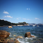 Photo n° 1 de l'avis de evrard.n fait le 30/08/2019 à 12:04 pour Anse de Méjean à Toulon