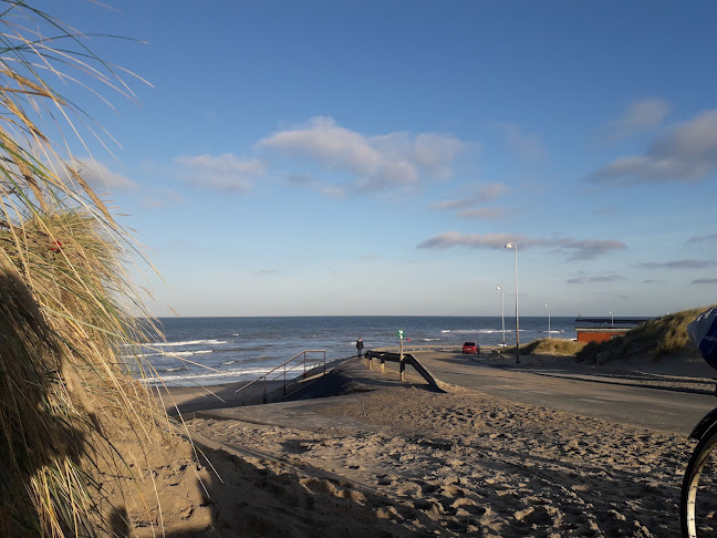 Hirtshals St. - Universitet