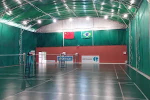 Academy São Paulo Fights and Badminton image