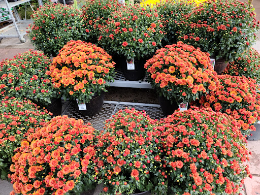 Home Improvement Store «The Home Depot», reviews and photos, 17777 NE 76th St, Redmond, WA 98052, USA