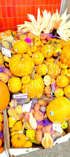 Grocery Store «Safeway», reviews and photos, 1421 Tara Hills Dr, Pinole, CA 94564, USA