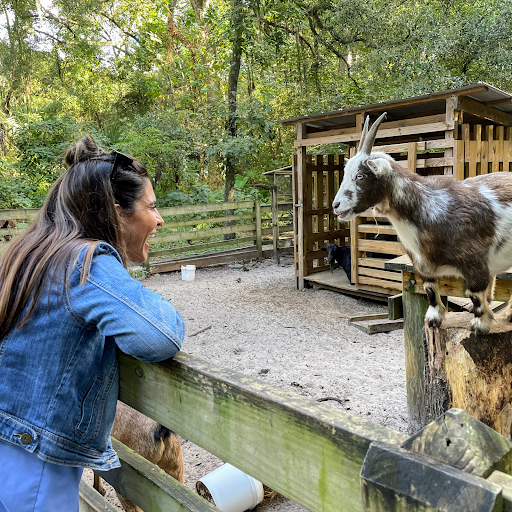 Insurance Agency «Michael Nickas - State Farm Insurance Agent», reviews and photos