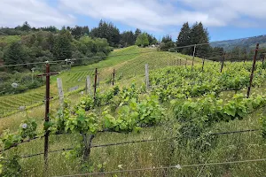 Windy Oaks Winery image
