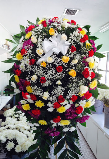 Florist «Primavera Florist Pedro», reviews and photos, 5510 W Flagler St, Coral Gables, FL 33134, USA