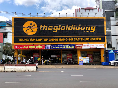 TGDD - Nguyễn Tất Thành (Pleiku)