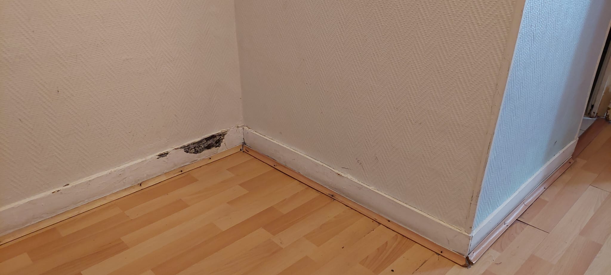 Photo n° 2 de l'avis de Ludmila.a fait le 18/03/2023 à 15:44
