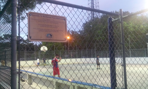 Park «Northeast Park and Paw Place», reviews and photos, 4630 E Bay Dr, Clearwater, FL 33764, USA