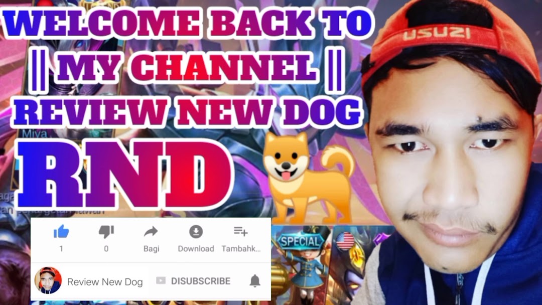 Review New Dog