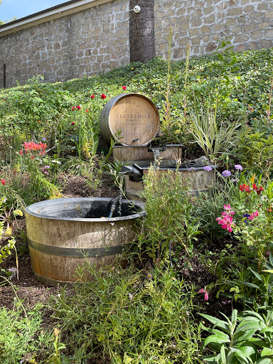 Winery «Testarossa Winery», reviews and photos, 300 College Ave A, Los Gatos, CA 95030, USA