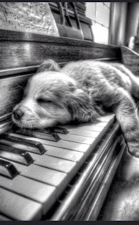 Piano Lessons, Staten Island NY - Photo 2 - Car repair in Staten Island, NY, Staten Island