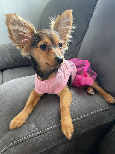 1690 E 4th Ave, Hialeah, FL 33010, USA