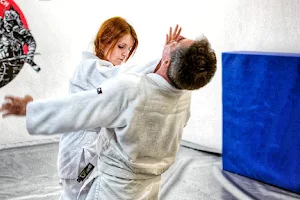 Jujitsu Rzeszów - Nihon Jujutsu | Zajęcia Jujitsu dla dzieci i dorosłych image