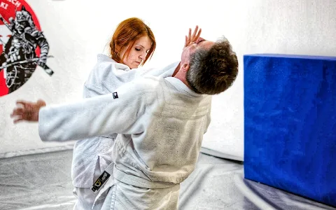 Jujitsu Rzeszów - Nihon Jujutsu | Zajęcia Jujitsu dla dzieci i dorosłych image