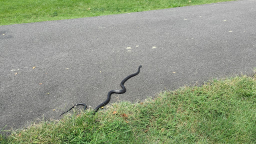 Golf Course «Greendale Golf Course», reviews and photos, 6700 Telegraph Rd, Alexandria, VA 22310, USA