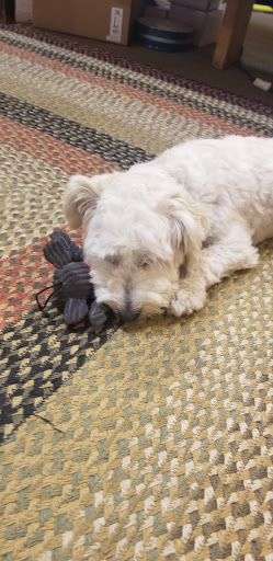 Gift Shop «FP Kolbe», reviews and photos, 6 River Rd, Pipersville, PA 18947, USA