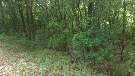 Park «Allen Station park», reviews and photos, 1120 N Cedar Dr, Allen, TX 75002, USA