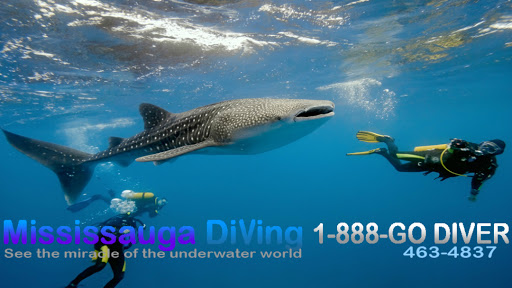 Mississauga Diving
