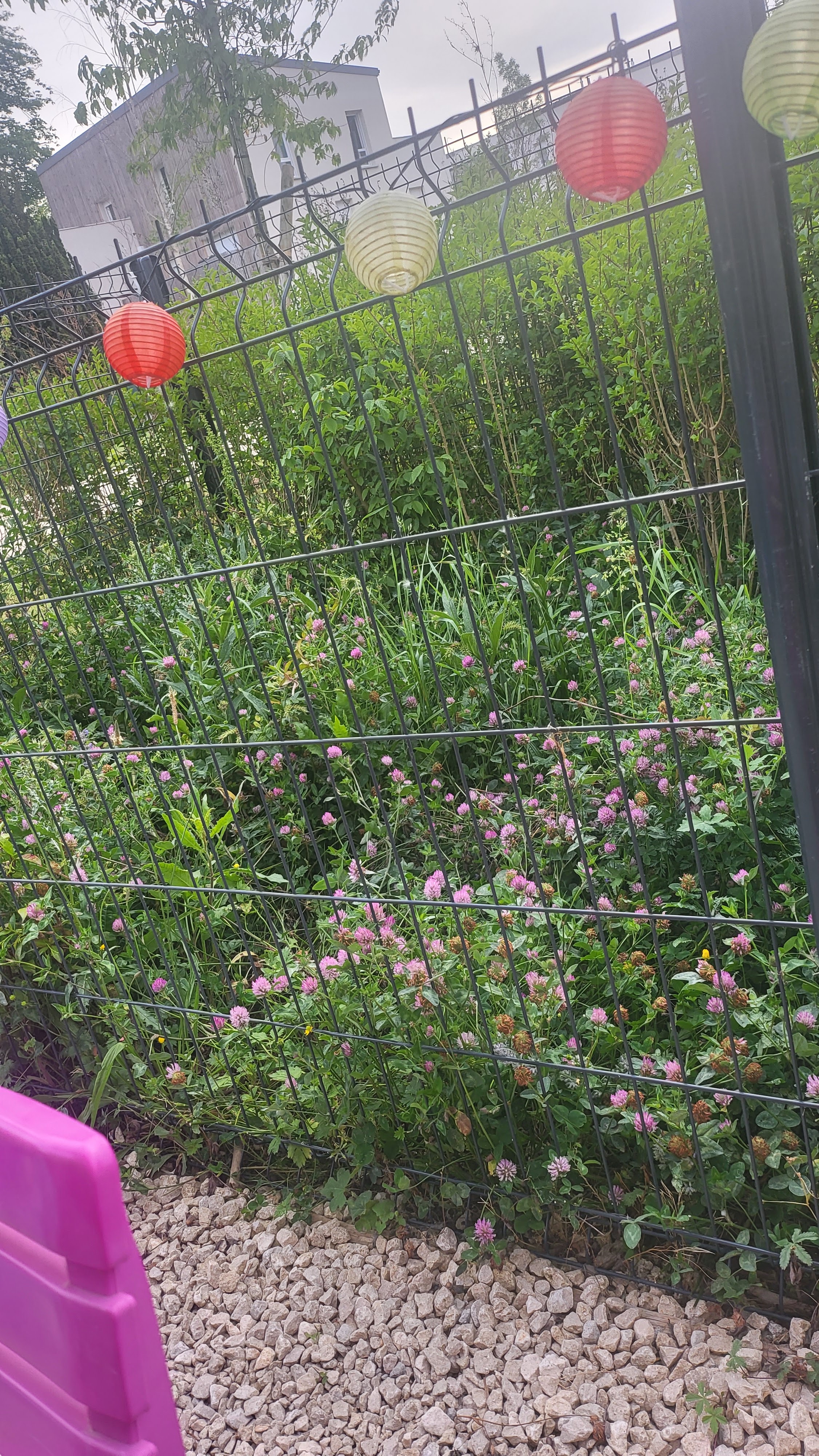 Photo n° 2 de l'avis de Florian.o fait le 22/05/2022 à 18:44