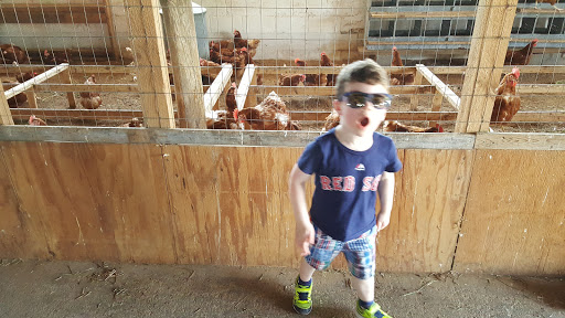 Dairy Farm «Sugar Hill Dairy», reviews and photos, 600 Pleasant St, Bridgewater, MA 02324, USA