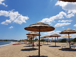 Lido del Sole'in fotoğrafı çok temiz temizlik seviyesi ile