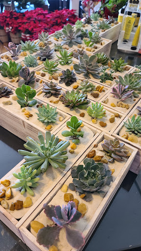 Florist «Shananne Cain Florist Inc», reviews and photos, 123 N Central Ave, Umatilla, FL 32784, USA