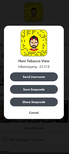 Tobacco Shop «Tobacco View», reviews and photos, 2539 County Hwy 10, St Paul, MN 55112, USA