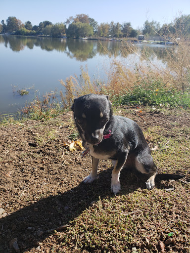 Park «Huston Lake Park», reviews and photos, 850 S Bryant St, Denver, CO 80219, USA