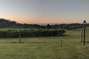 Virginia Mountain Vineyards image