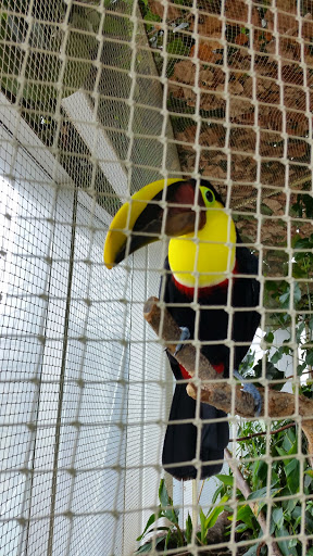 Aquarium «Loveland Living Planet Aquarium», reviews and photos, 12033 Lone Peak Pkwy, Draper, UT 84020, USA