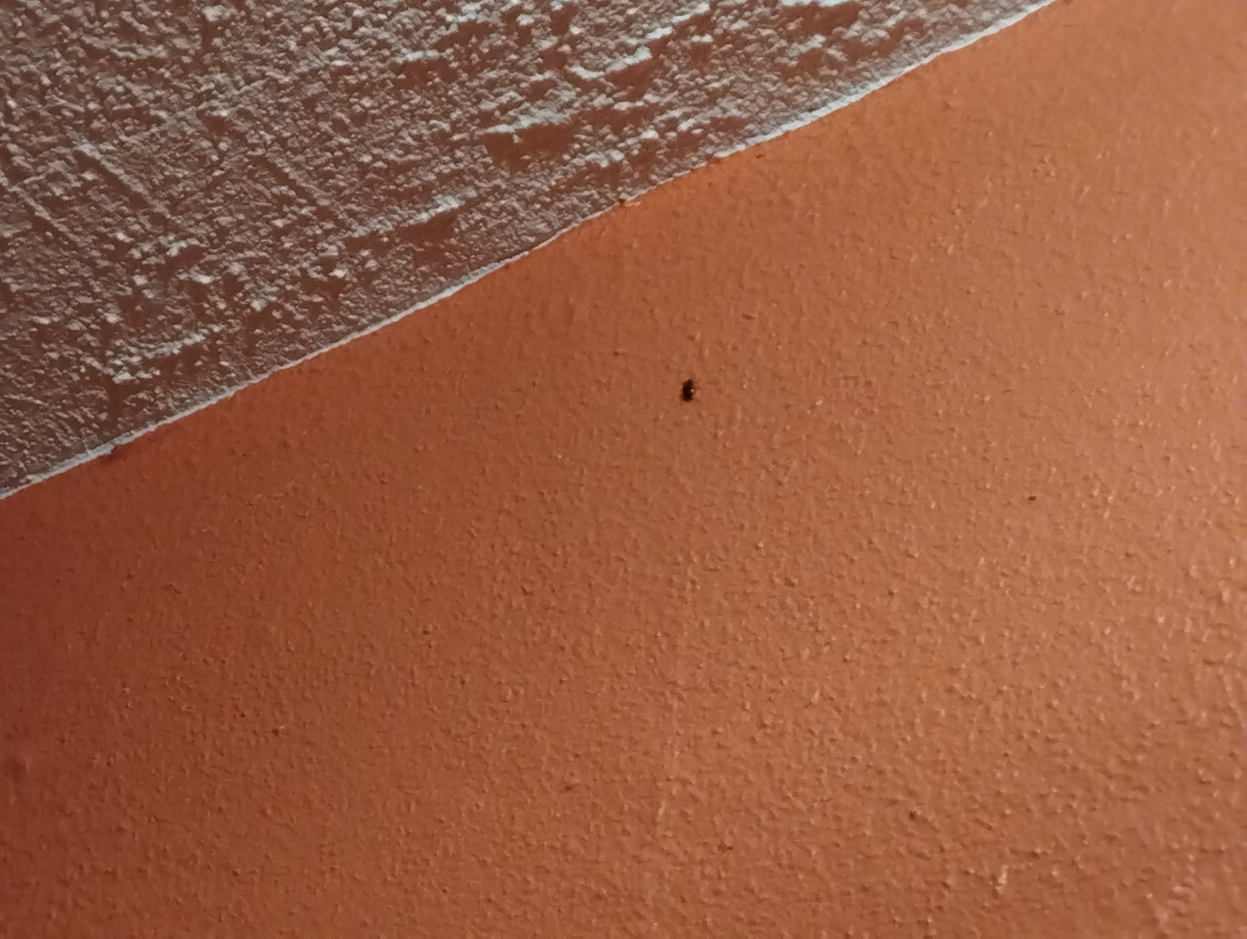 Photo n° 2 de l'avis de Tamir.A fait le 23/08/2022 à 16:42
