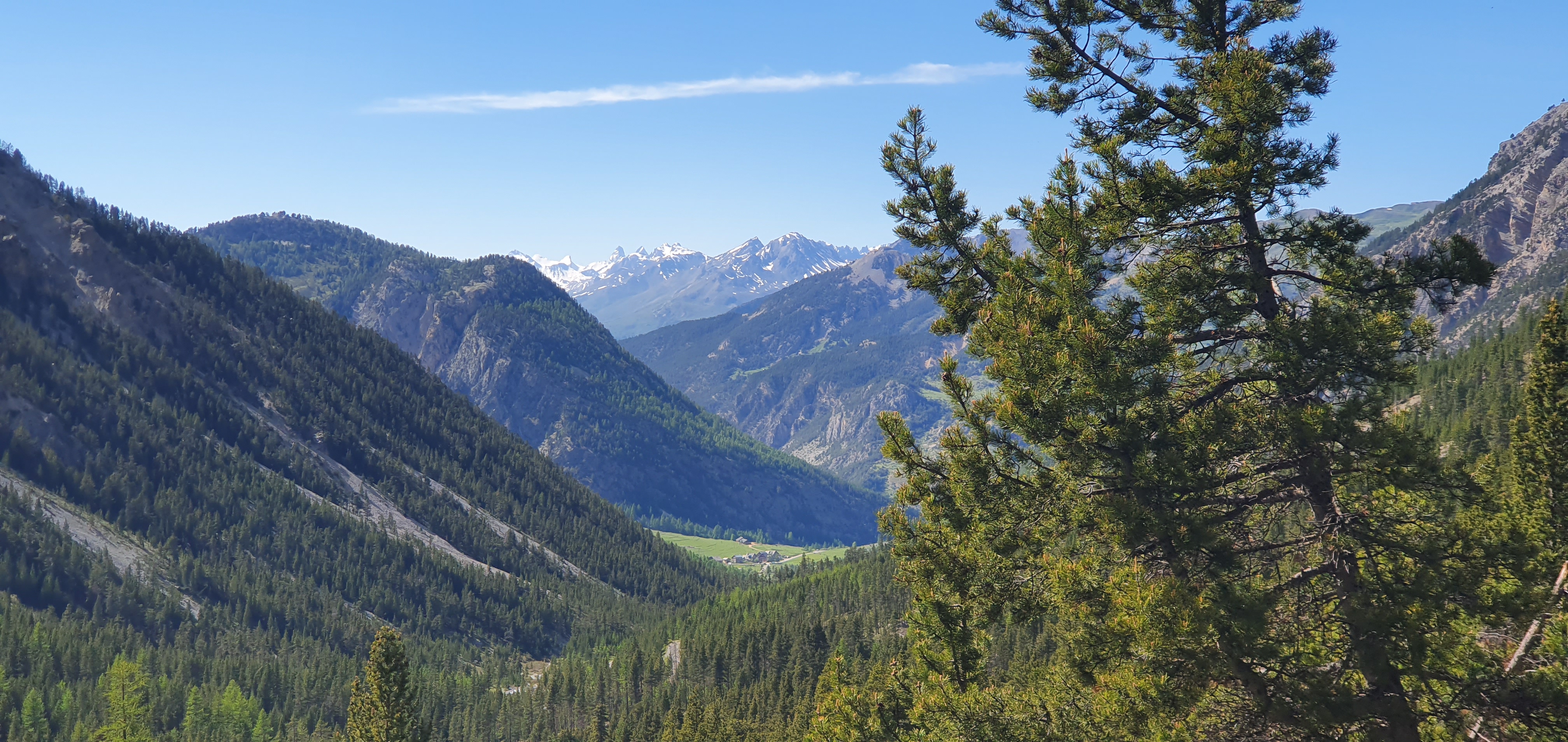 Photo n° 1 de l'avis de franck.o fait le 13/06/2019 à 17:36
