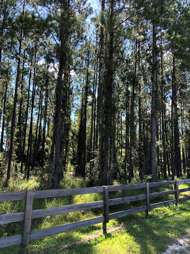 Nature Preserve «Conner Preserve», reviews and photos, 22500 FL-52, Land O Lakes, FL 34637, USA