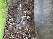 Luviano and son lawn maintenance - Photo 8 - Car repair in , Bend