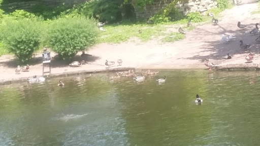 Zoo «Farm In The Zoo», reviews and photos, 1911 N Stockton Dr, Chicago, IL 60614, USA