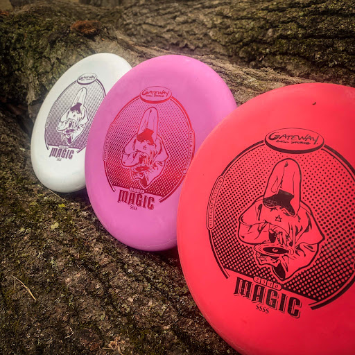 Sporting Goods Store «Gateway Disc Sports», reviews and photos, 10855 Metro Ct, Maryland Heights, MO 63043, USA