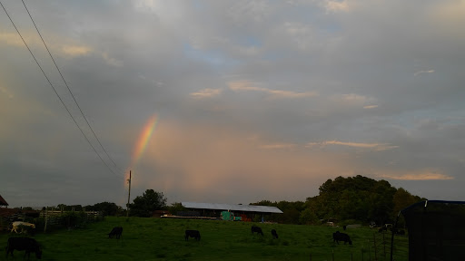 Photo of Alvin Bodine Construction & Plumbing