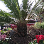 Photo n°14 de l'avis de Monica.o fait le 27/11/2018 à 12:20 sur le  Hotel Riva à Alassio